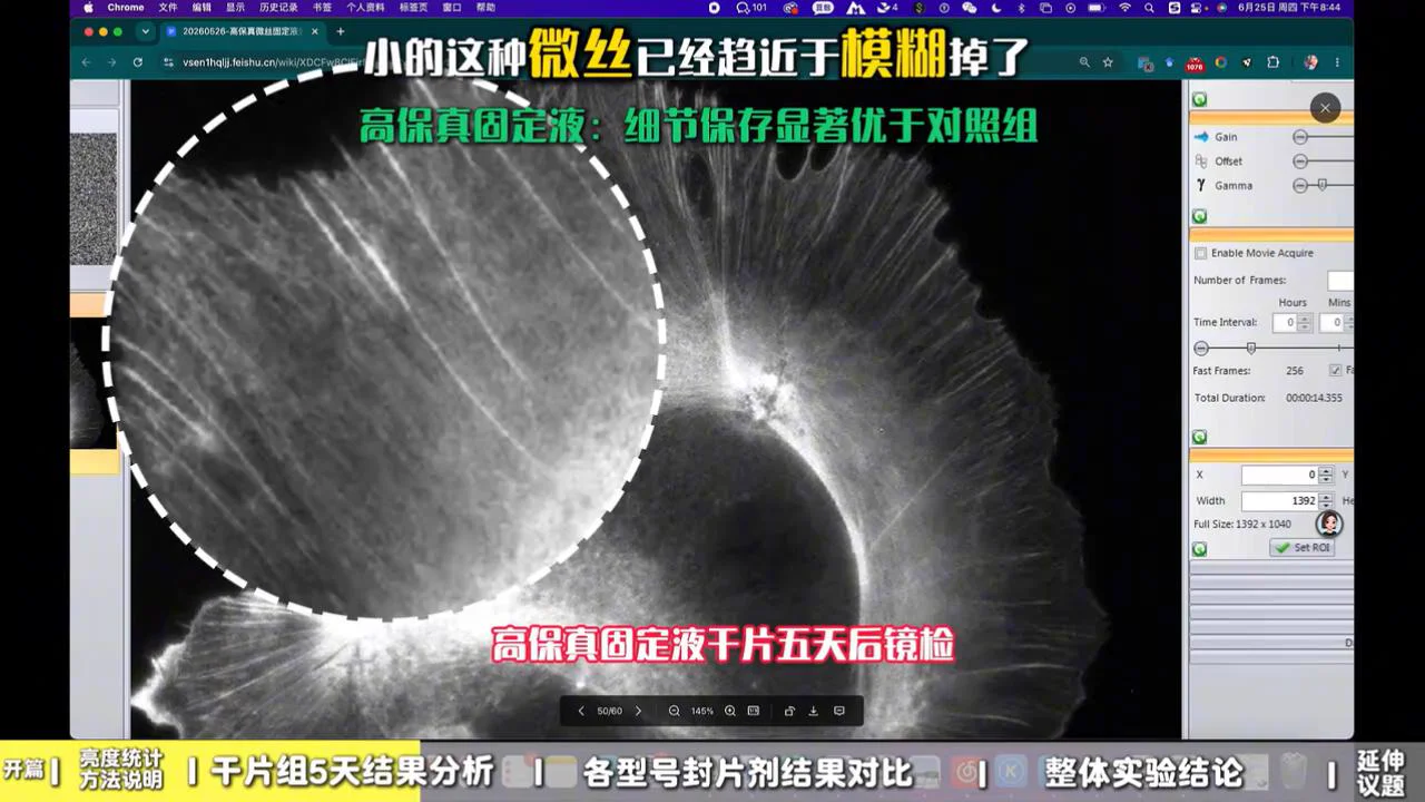 5 天内亮度对比 2