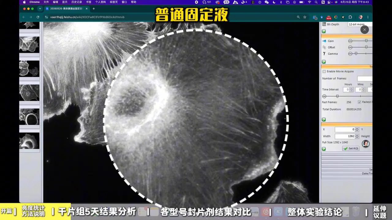 高保真微丝固定液组 1