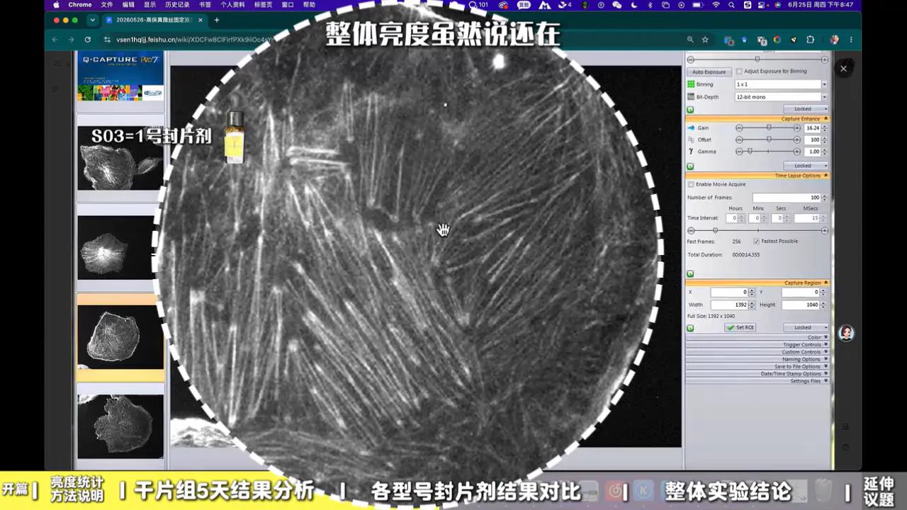 S03 1 号封片剂