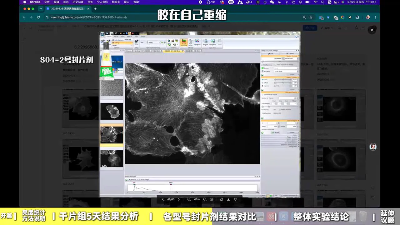 S04 2 号封片剂 1