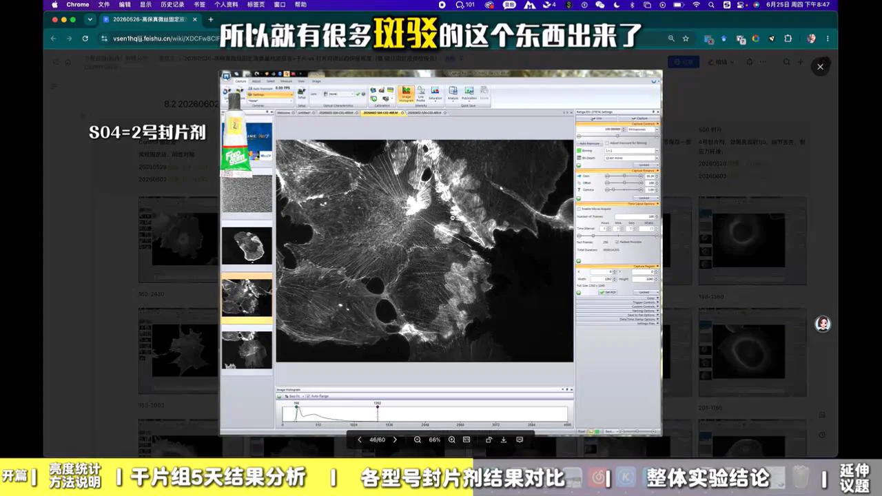 S04 2 号封片剂 2