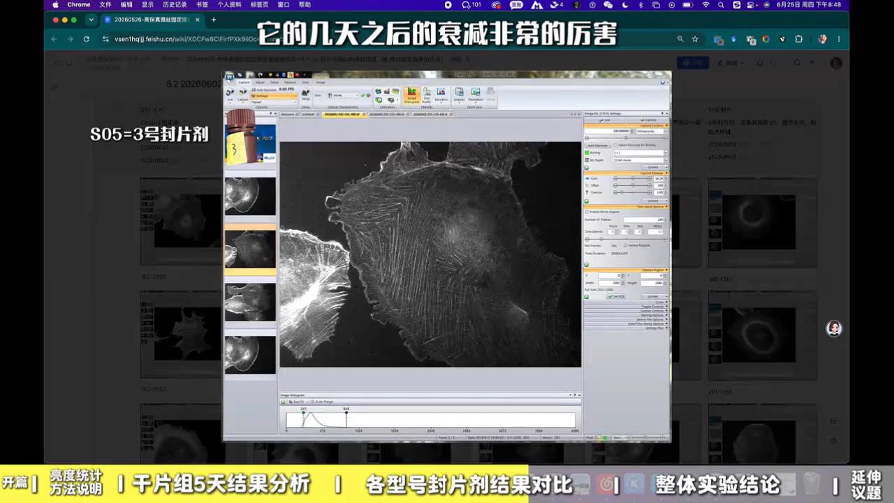 S05 3 号封片剂