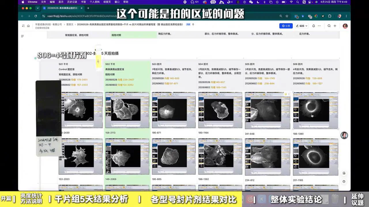 S06 4 号封片剂