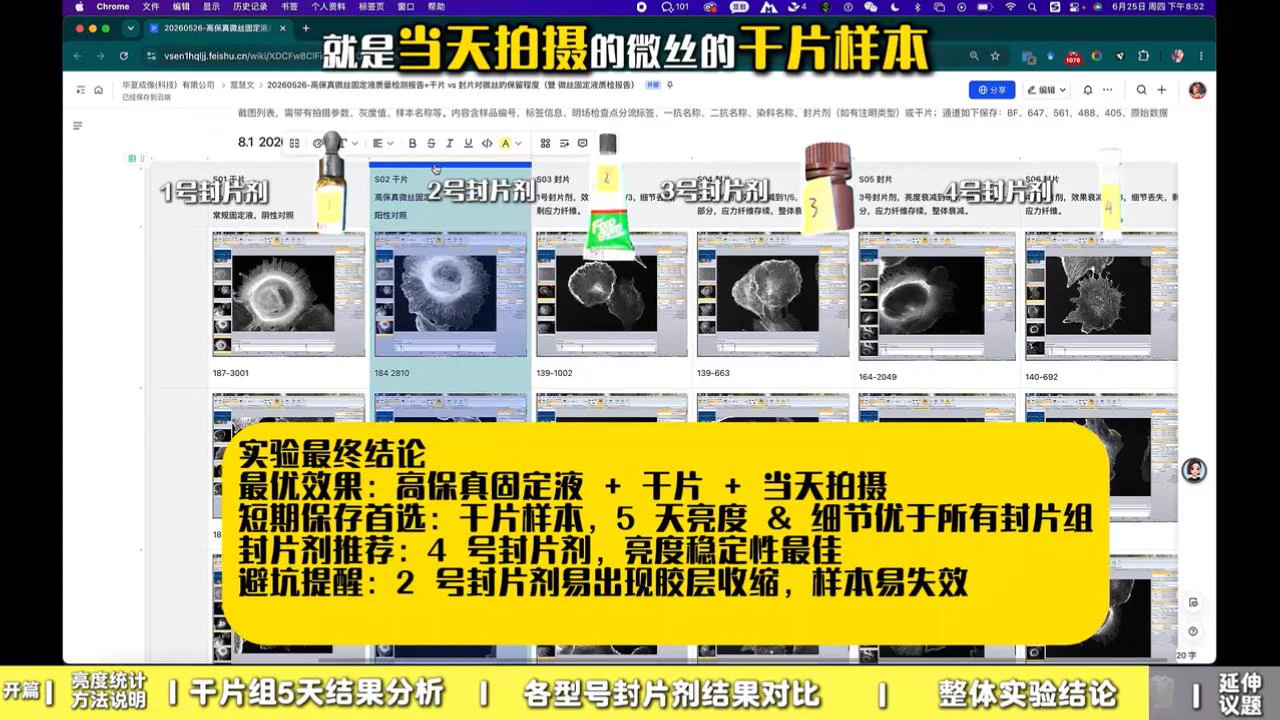 实验最终结论 配图