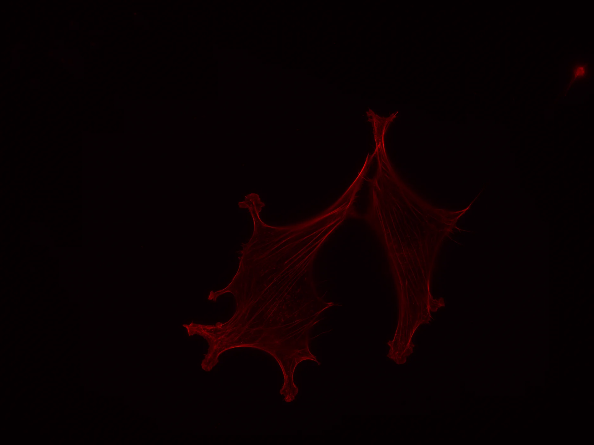 S03 1/3s
