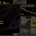 webp_原图