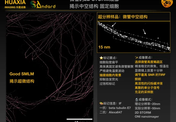 webp_原图
