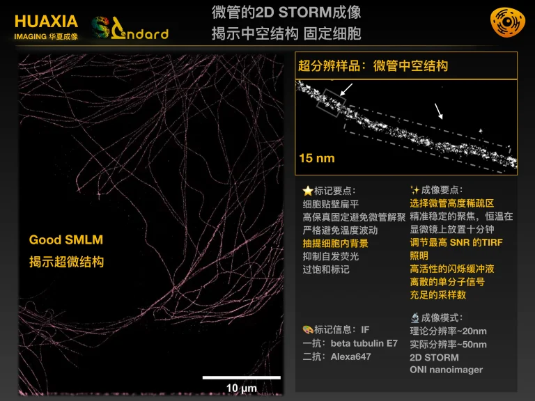 webp_原图