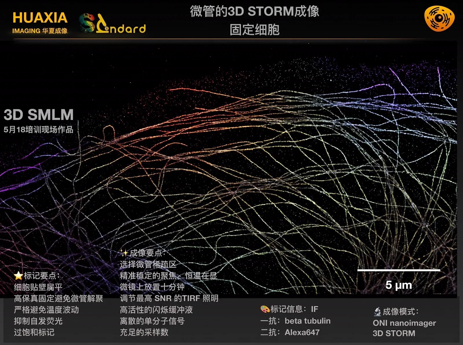 细胞微管3D STORM成像