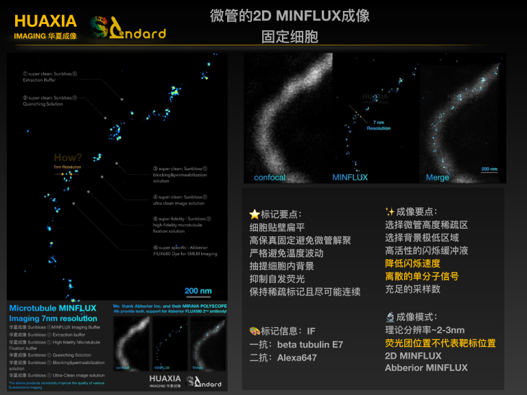 案例06 高保真超分辨级样本-细胞微管的2D MINFLUX成像 参考图片