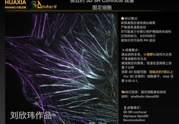 案例09