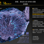 案例10